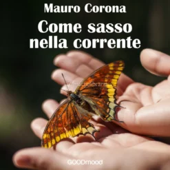 Mp3 - Come Sasso nella Corrente