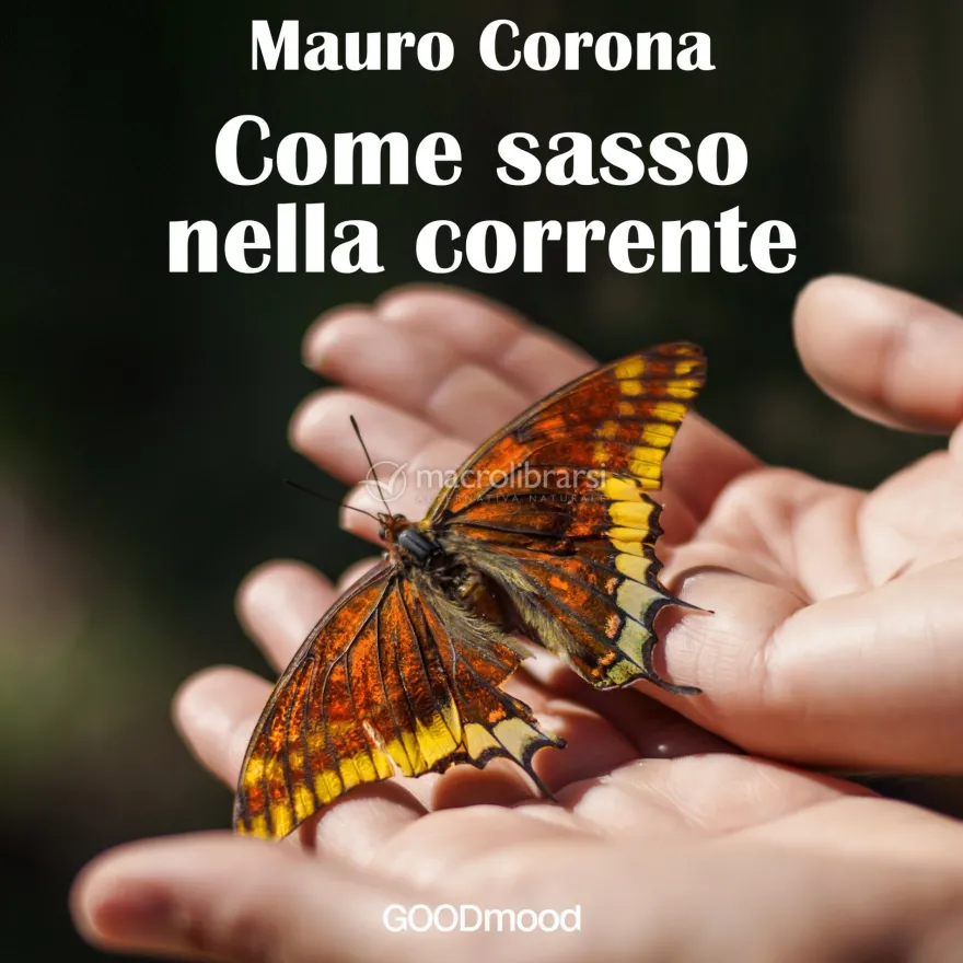 Mp3 - Come Sasso nella Corrente