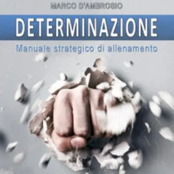 Mp3 - Determinazione