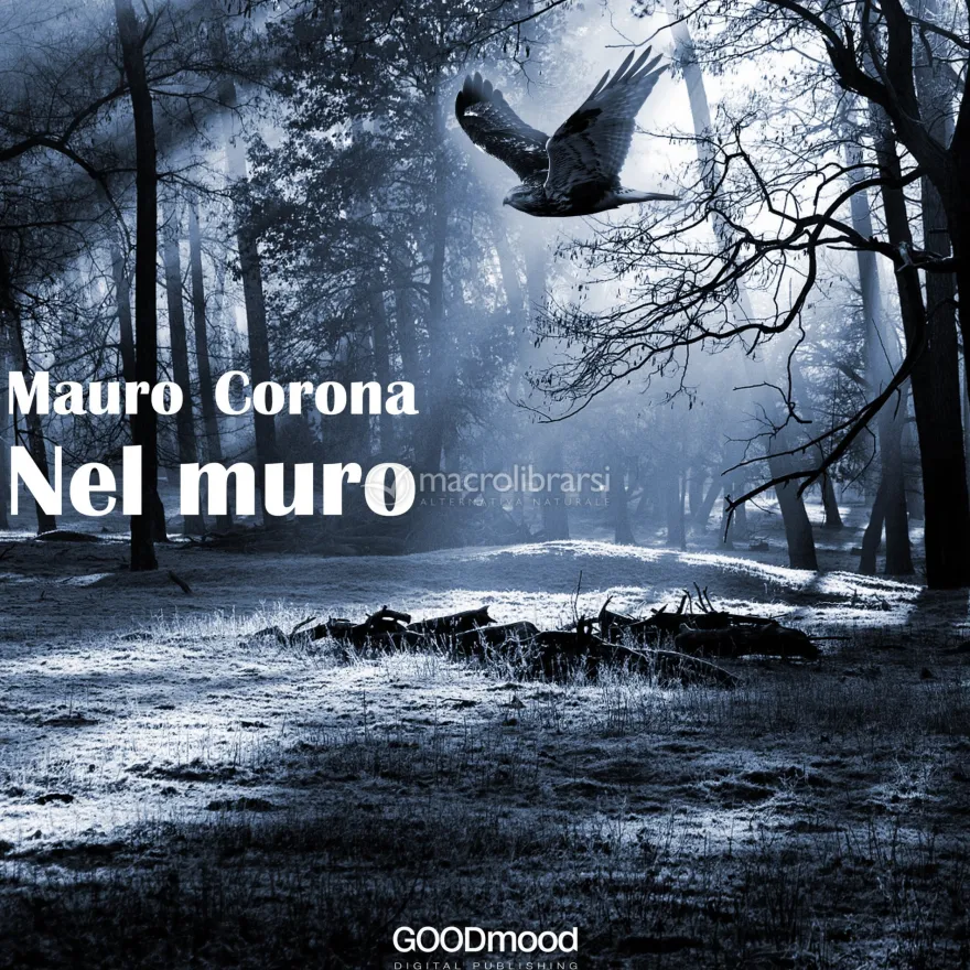 Mp3 - Nel Muro