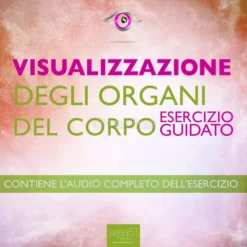 Mp3 - Visualizzazione - Visualizzazione degli organi del corpo