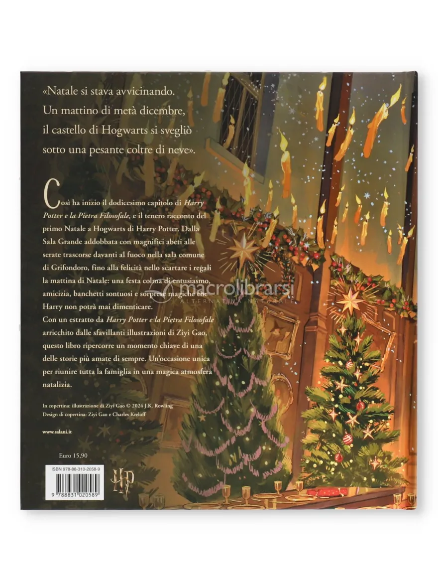 Natale a Hogwarts