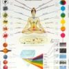 Natura Chakra