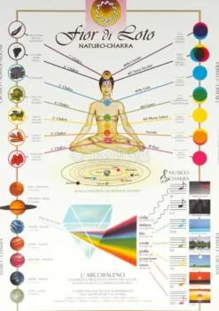 Natura Chakra