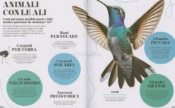 Natura - Impara in 5 Minuti