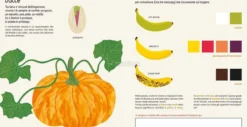 Naturalisti in Cucina
