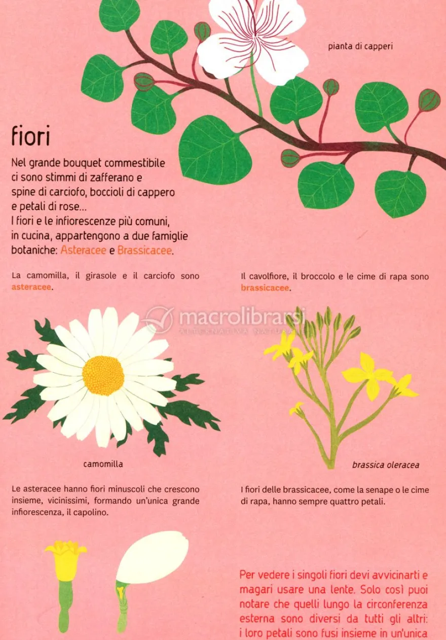 Naturalisti in Cucina
