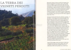 Natural Wine, No Drama