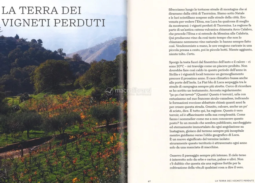 Natural Wine, No Drama