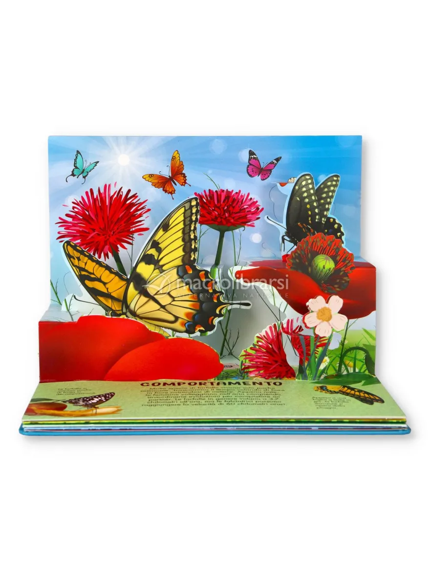 Natura Pop Up - Farfalle