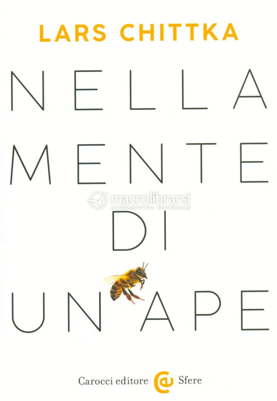 Nella Mente di un' Ape