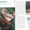 Nel Mondo degli Animali