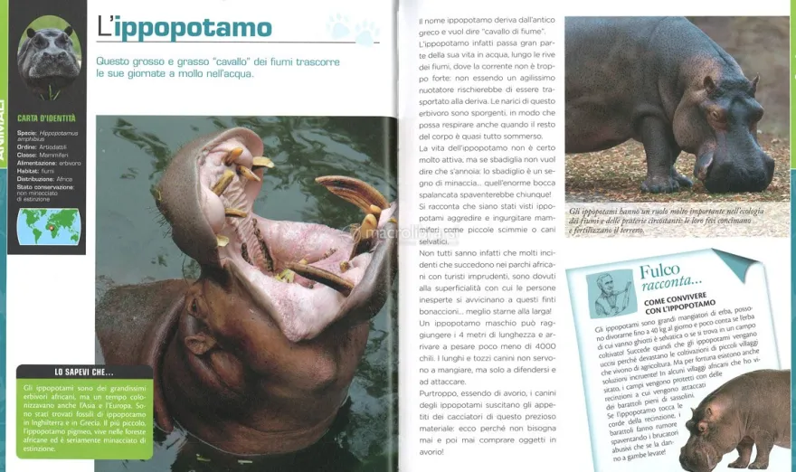 Nel Mondo degli Animali
