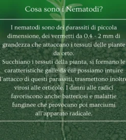 Nema Sol - Bioprotettore Radicale Bio