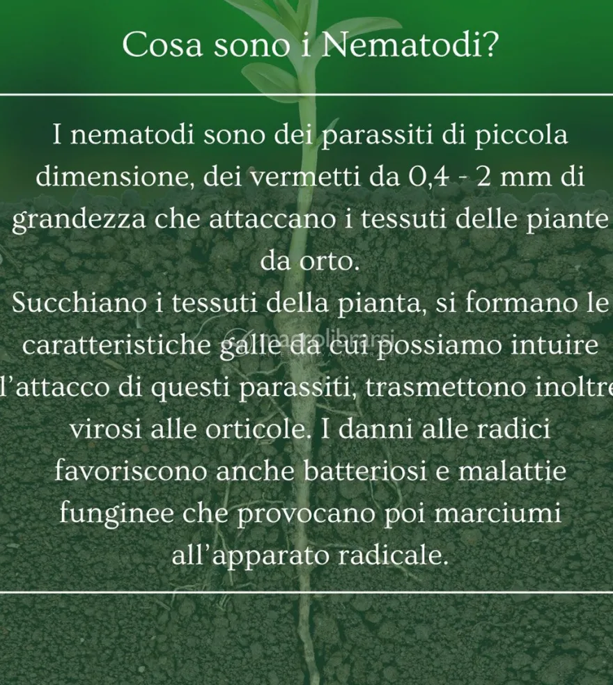 Nema Sol - Bioprotettore Radicale Bio