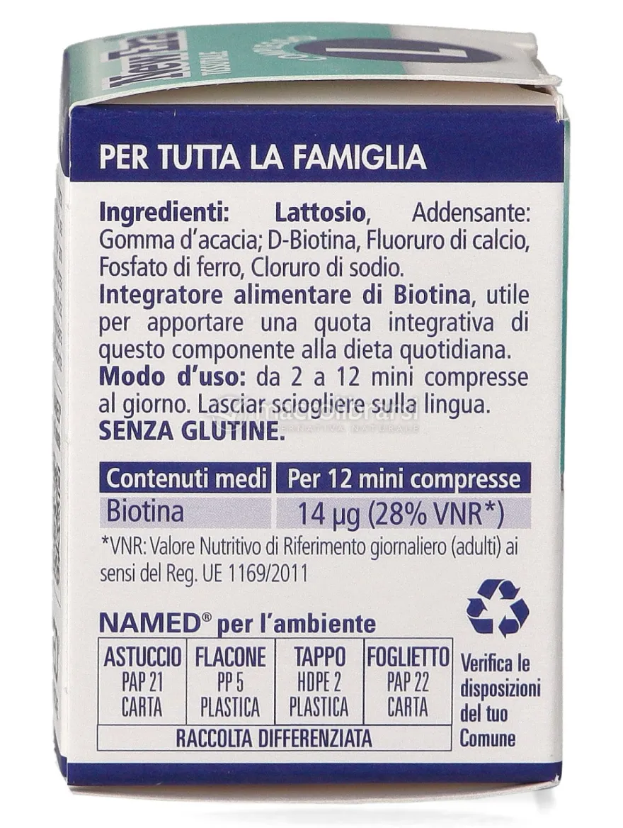 New Era® Complesso L