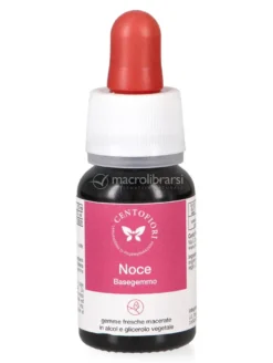 Noce - Basegemmo