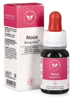 Noce - Basegemmo
