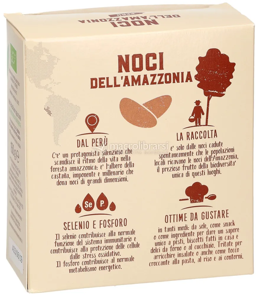 Noci dell'Amazzonia Sgusciate