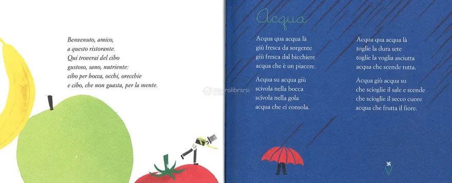 Non Piangere, Cipolla