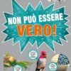 Non può Essere Vero!
