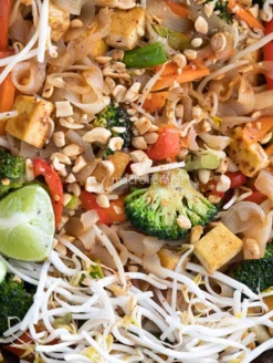 Noodles Secchi di Konjac Bio