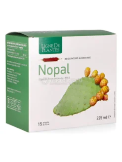 Nopal - Ampolle