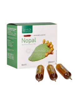 Nopal - Ampolle