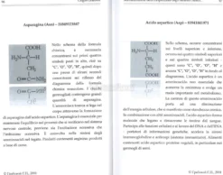 Normalizzazione della Composizione degli Elementi Chimici tramite la Concentrazione sulle Sequenze Numeriche per la Vita Eterna