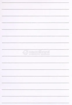 Notes Magnetico il Gatto e la Luna