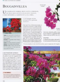 Nuova Enciclopedia del Giardinaggio