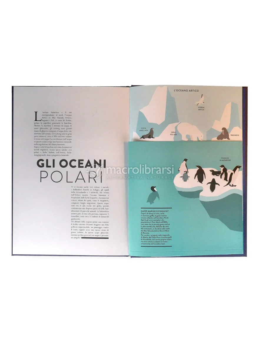 Oceano - Libro Animato per Esplorare il Mondo Marino