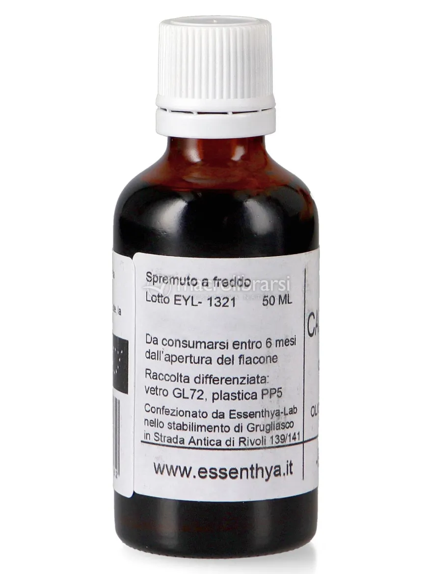 Olio di Calophylla Bio
