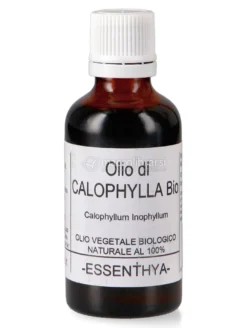 Olio di Calophylla Bio