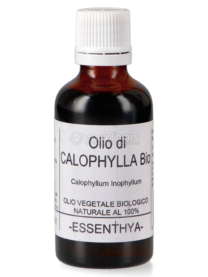 Olio di Calophylla Bio