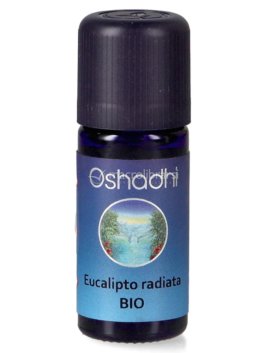 Olio Essenziale di Eucalipto Radiata Bio
