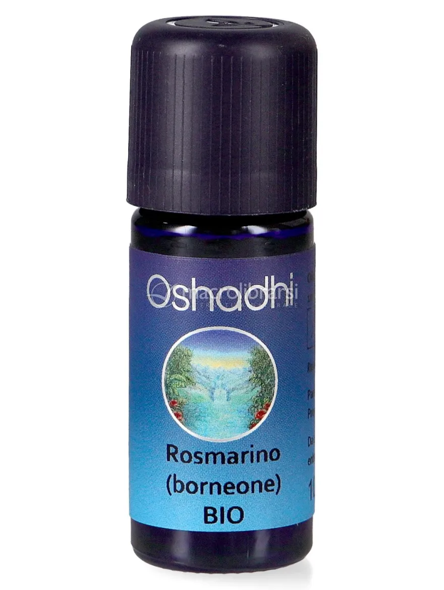 Olio Essenziale di Rosmarino Borneone Bio