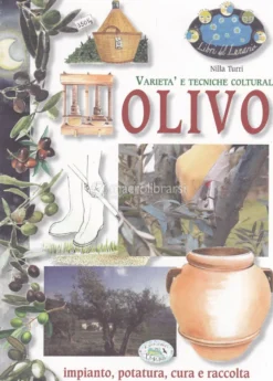 Olivo