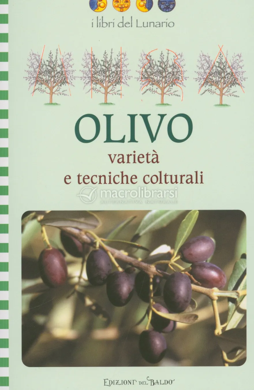 Olivo - Varietà e Tecniche Colturali