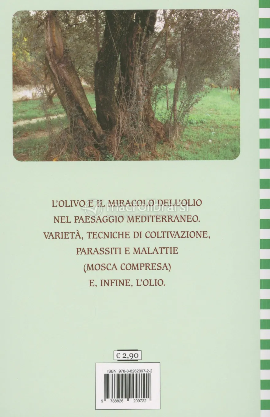 Olivo - Varietà e Tecniche Colturali