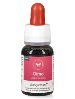 Olmo - Basegemmo