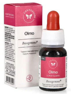 Olmo - Basegemmo