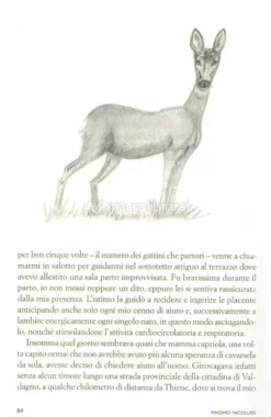 Oltre la Collina - La mia Vita con gli Animali