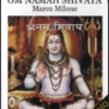 Om Namah Shivaya - Meditazioni Guidate Vol. 6