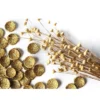 Orecchini in Oro Vegetale Capim Dourado - Mandala