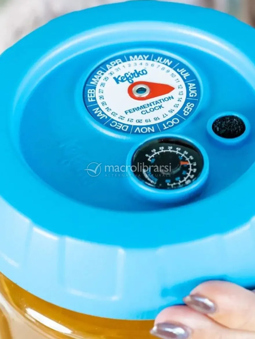Orologio per la Fermentazione - Annuale