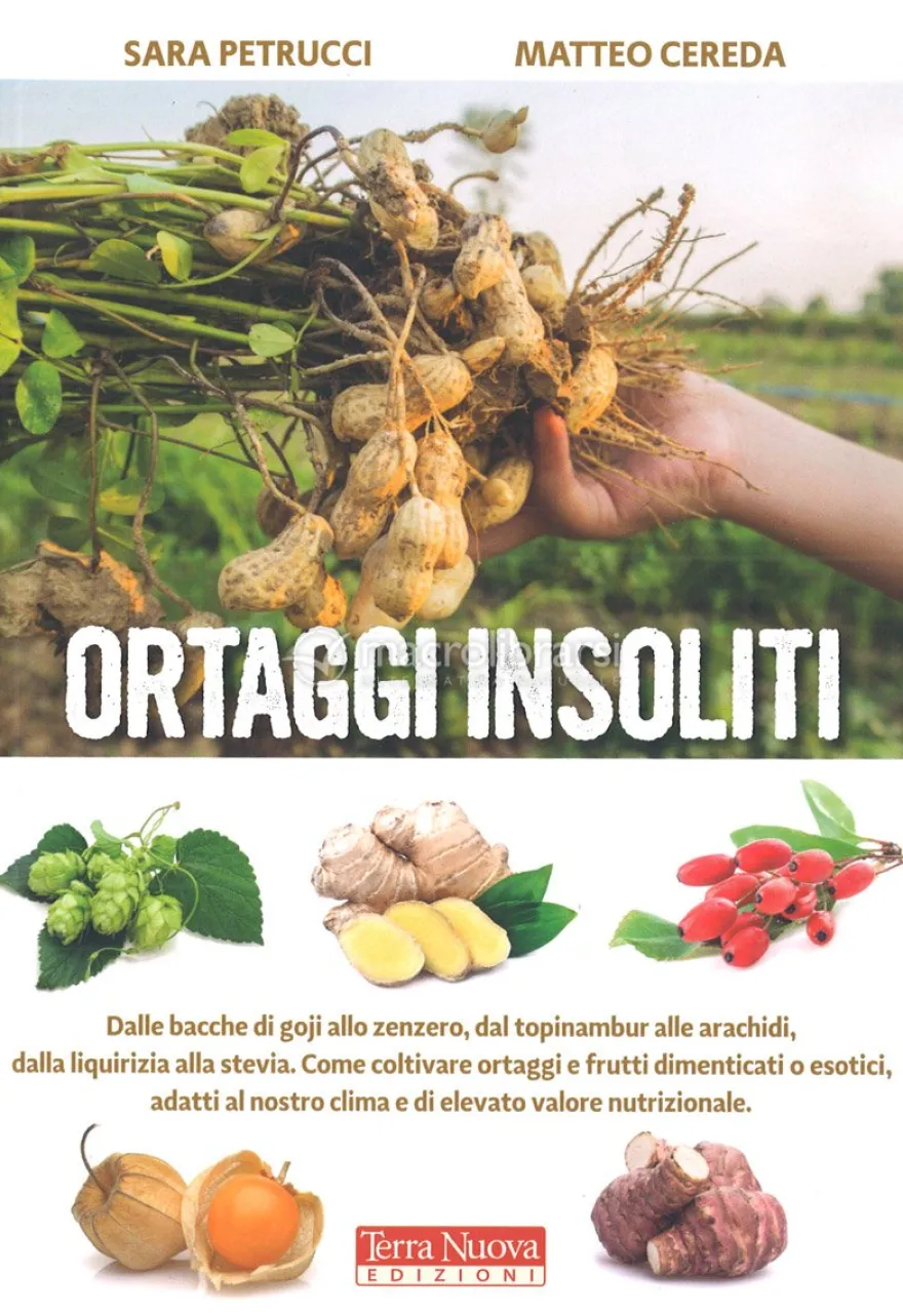 Ortaggi Insoliti