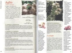 Orto Bio