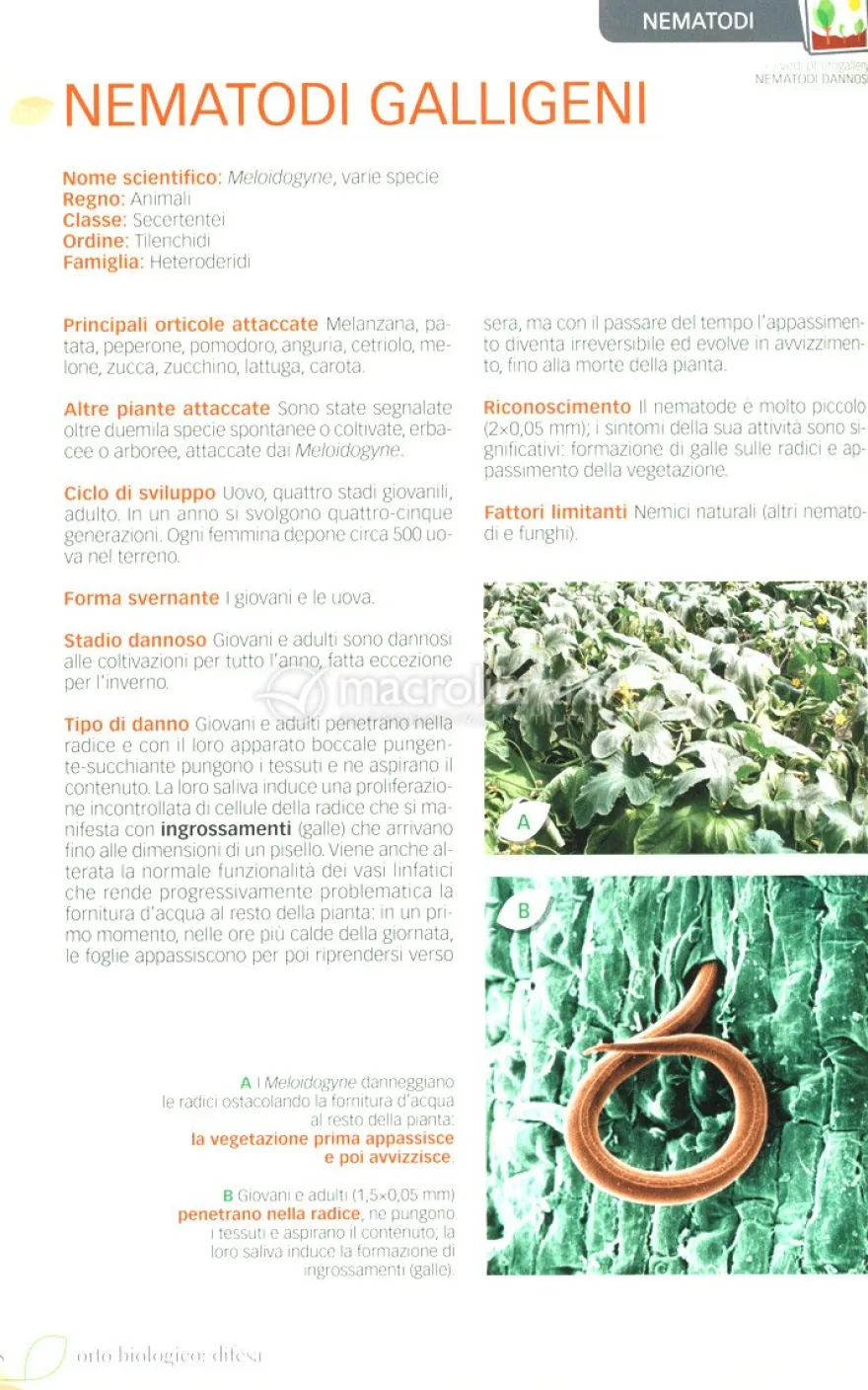 Orto Biologico - Tecniche di Difesa