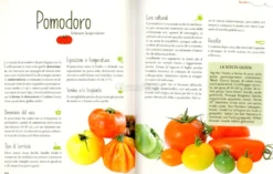 Orto Minimo
